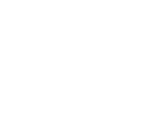 Leri Logo